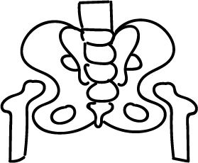 Urogyn&eacute;cologie